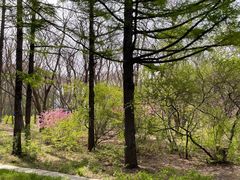 -长春市南湖公园