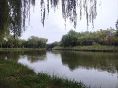-大兴滨河森林公园