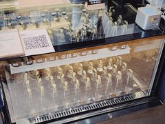 -Dogi&kiki Coffee(中心商务大厦店)