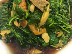 -观桥阁(锦溪店)