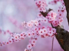 -汉中石门栈道景区