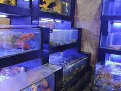 -丰鲤楼•闽南茶楼(仟禧汇店)