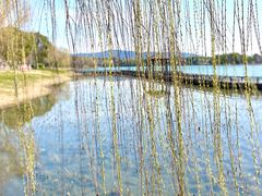 -尚湖风景区