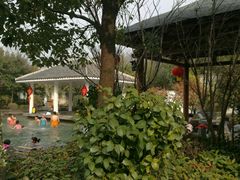 -深业半汤御泉庄温泉