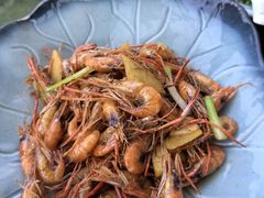 -阿巧茶庄
