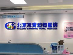 -北京观赏动物医院·24小时大型综合·猫专科·异宠专科