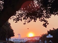 -广州科技贸易职业学院