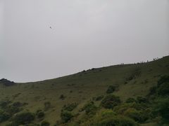 -大姆山草场