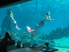 -海棠湾洲际-涛·海底餐厅·美人鱼·自助餐·海底隧道