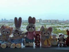 -上海浦东康桥绿地假日酒店