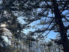 -瓦屋山景区