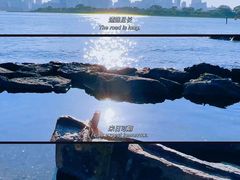 -台场海滨公园船码头