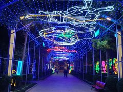 -南宫五洲植物乐园