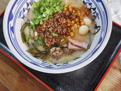 -胡大怪手工酸辣粉(安亭店)