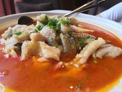 西红柿炖江鲶-奥山雅阁酒店·中餐厅