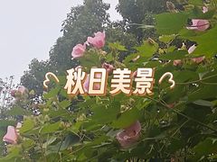 -四里河滨水生态公园