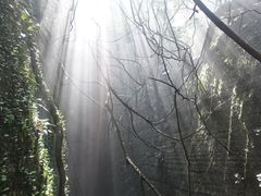-梦幻奥陶纪景区