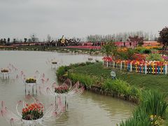 -荷兰花海