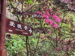 -岳麓山风景名胜区