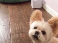 -Moka Bros 摩卡站(西单大悦城店)