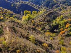 -蟠龙山长城景区