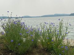 -渤公岛生态公园