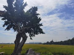 沿路的风景-崖口云吞(中堡店)