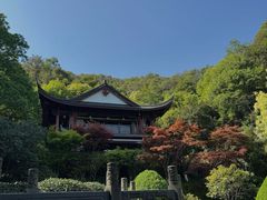 -十八棵（老龙井）御茶园(老龙井店)