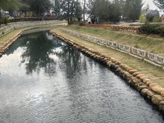 -西涌国际滨海旅游区