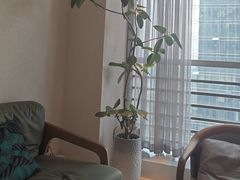 -争渡心理咨询全国连锁(福田店)