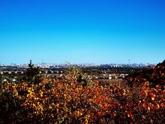 -北京西山国家森林公园