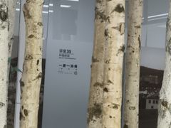 -极简口腔(总院)