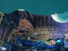 -烟台海昌鲸鲨海洋公园