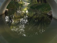 -北坞公园