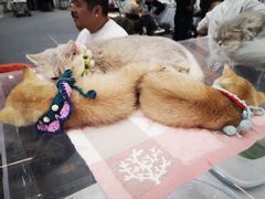 -银泰百货(北京大红门店)