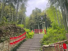 -东明山森林公园
