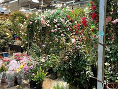-双季花艺园艺市场(浦东店)