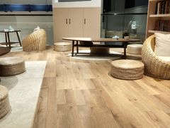 -瞄一喵猫咖(格力海岸店)