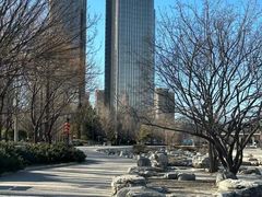 -大望京公园