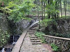 -莫干山风景区