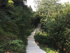 -羚羊峡古栈道森林公园