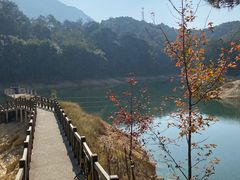 -广州市流溪河国家森林公园