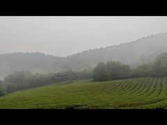 -敬亭山风景名胜区