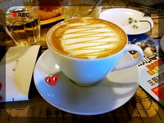 -Cafe Alice咖啡爱丽丝(奥城店)