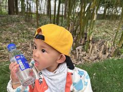 -合肥滨湖国家森林公园