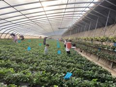 -兴芮温泉度假区