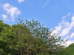 -大连天门山国家森林公园