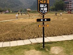 -靖西鹅泉风景区