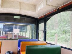 -合肥滨湖国家森林公园