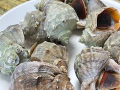 清蒸海螺-人和啤酒屋海鲜大排档(营口路店)